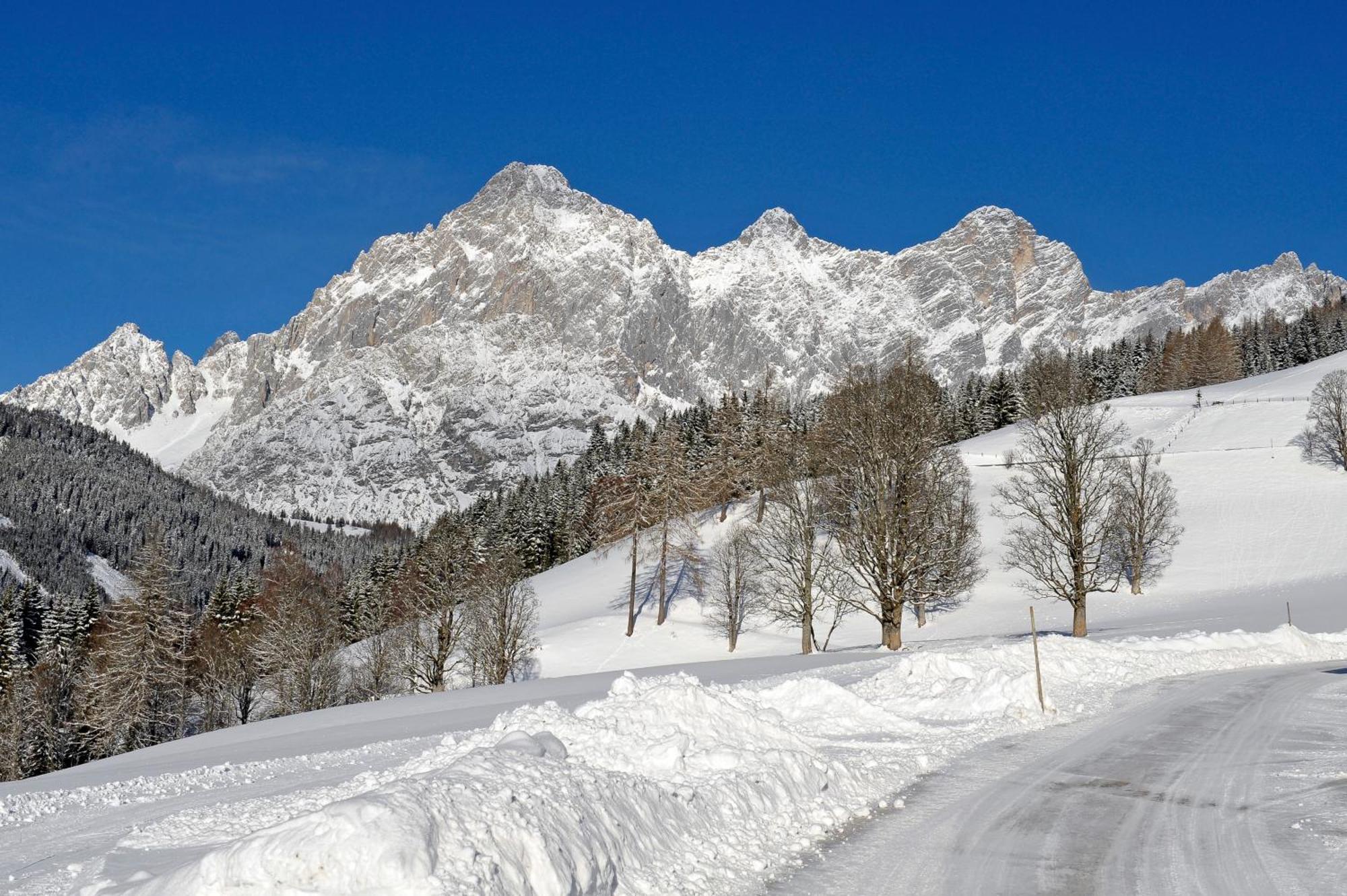 Bergerhof Ramsau am Dachstein Exterior foto