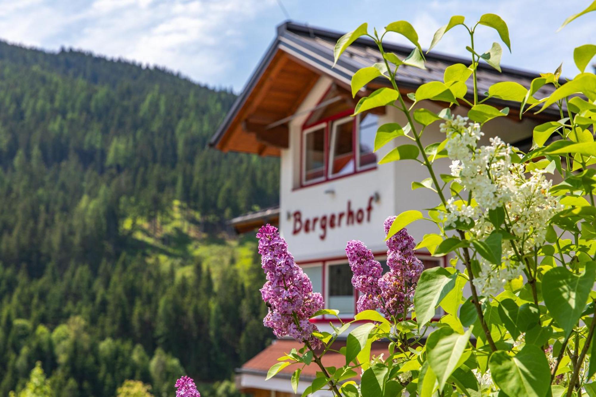 Bergerhof Ramsau am Dachstein Exterior foto